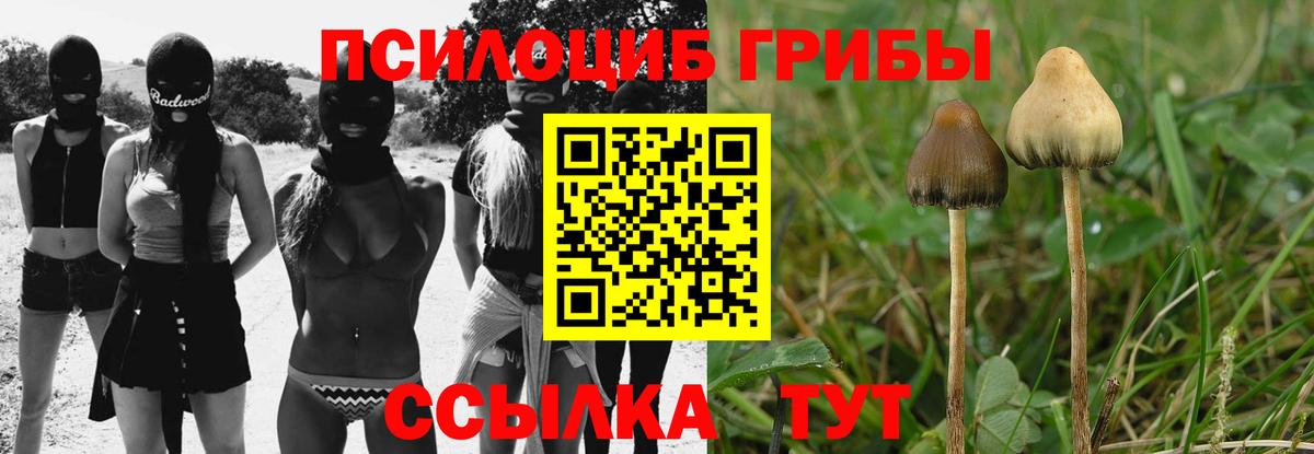 Псилоцибиновые грибы ЛСД Барнаул